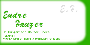 endre hauzer business card